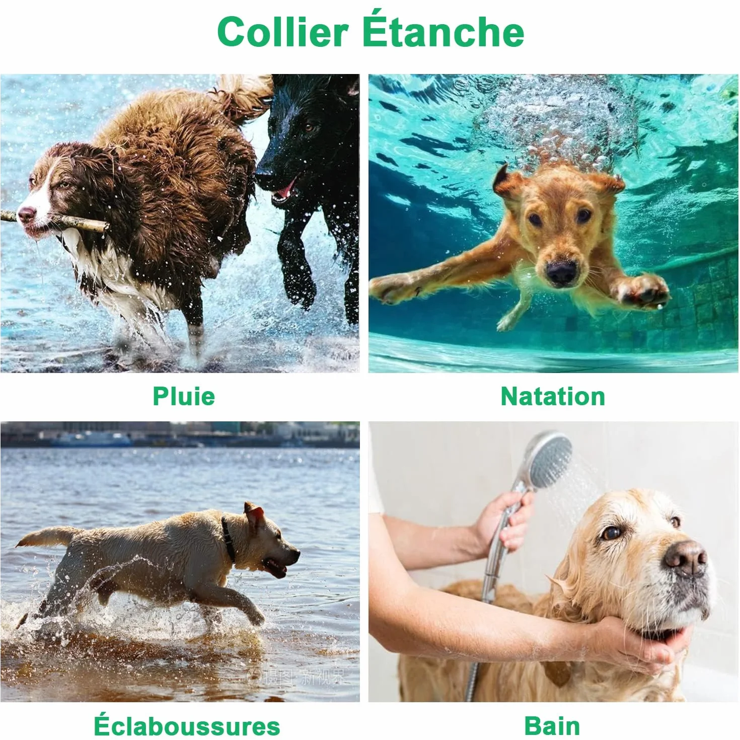 Collier de Dressage pour Chien Étanche Rechargeable 1000m, 2 Colliers