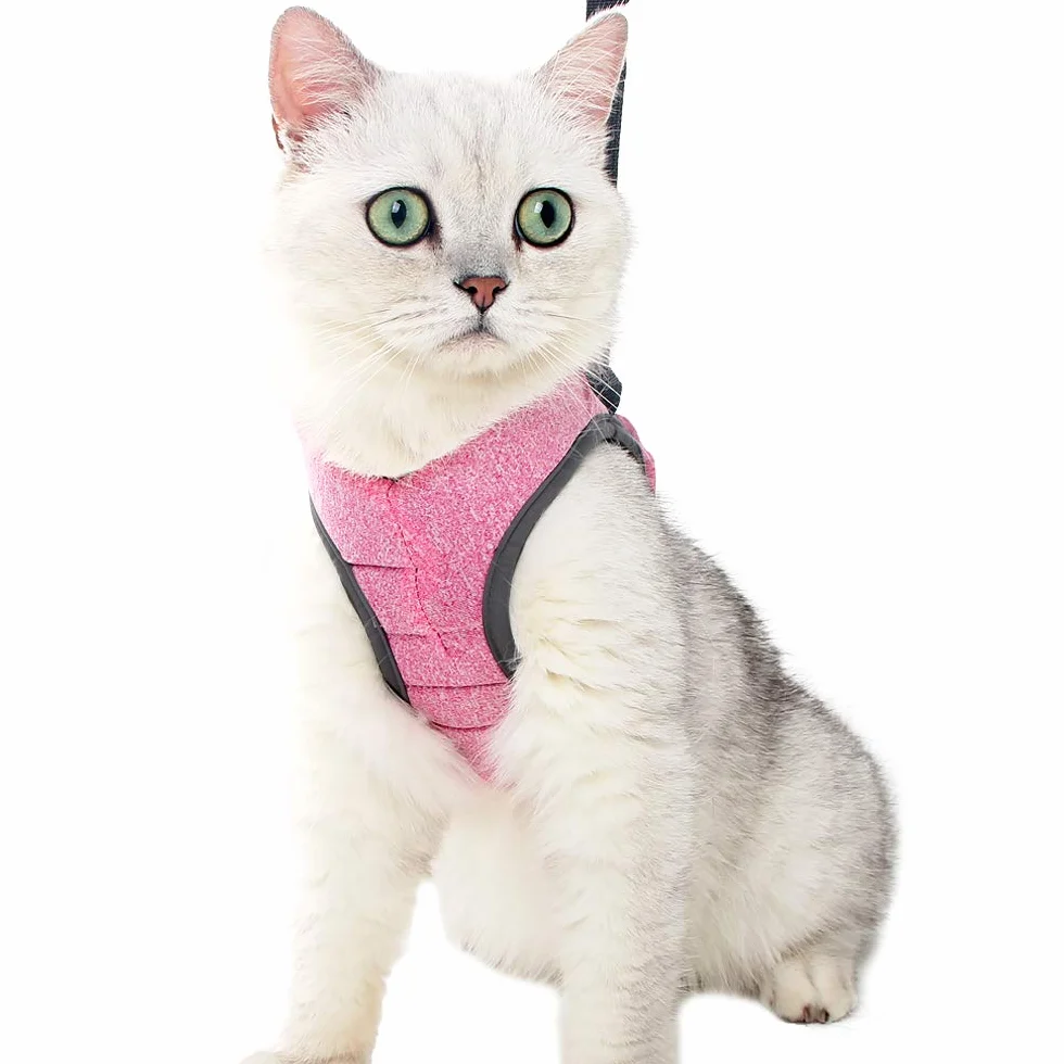 Harnais pour Chat Ultra-Léger Anti-Fuite Réglable avec Laisse pour Chiot Lapin Furet