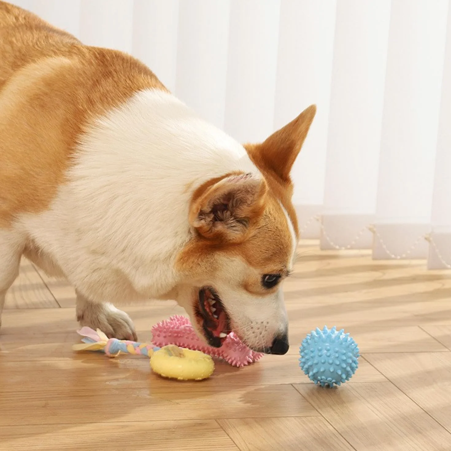 Jouet Interactif Chien avec Corde et Balle, Jouets Dentition en Coton pour Chiens