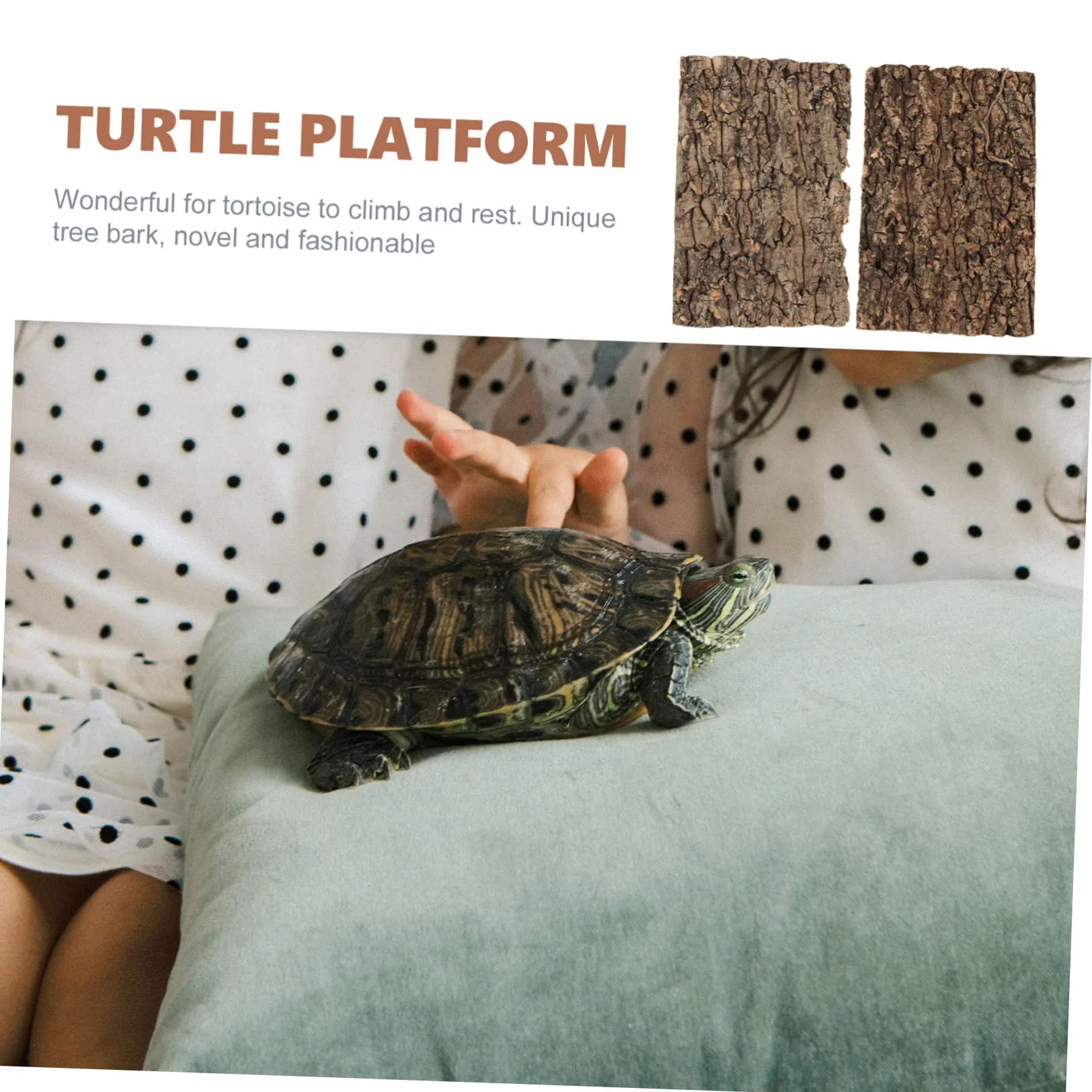 Écorce de Liège Plateforme Reptile Terrarium Décor Escalade