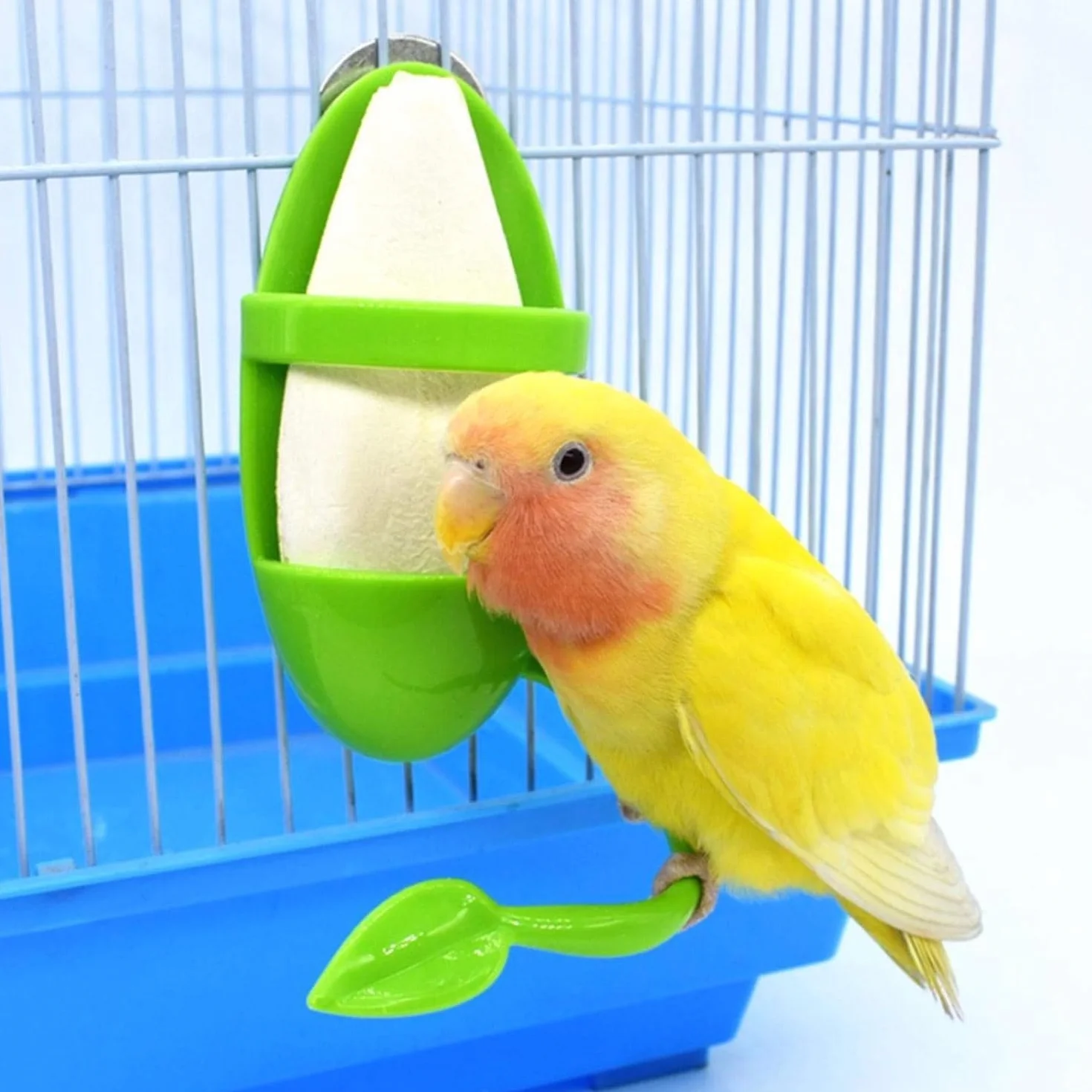 Supports pour Os de Seiche - Perche Porte-Nourriture pour Oiseaux de Compagnie