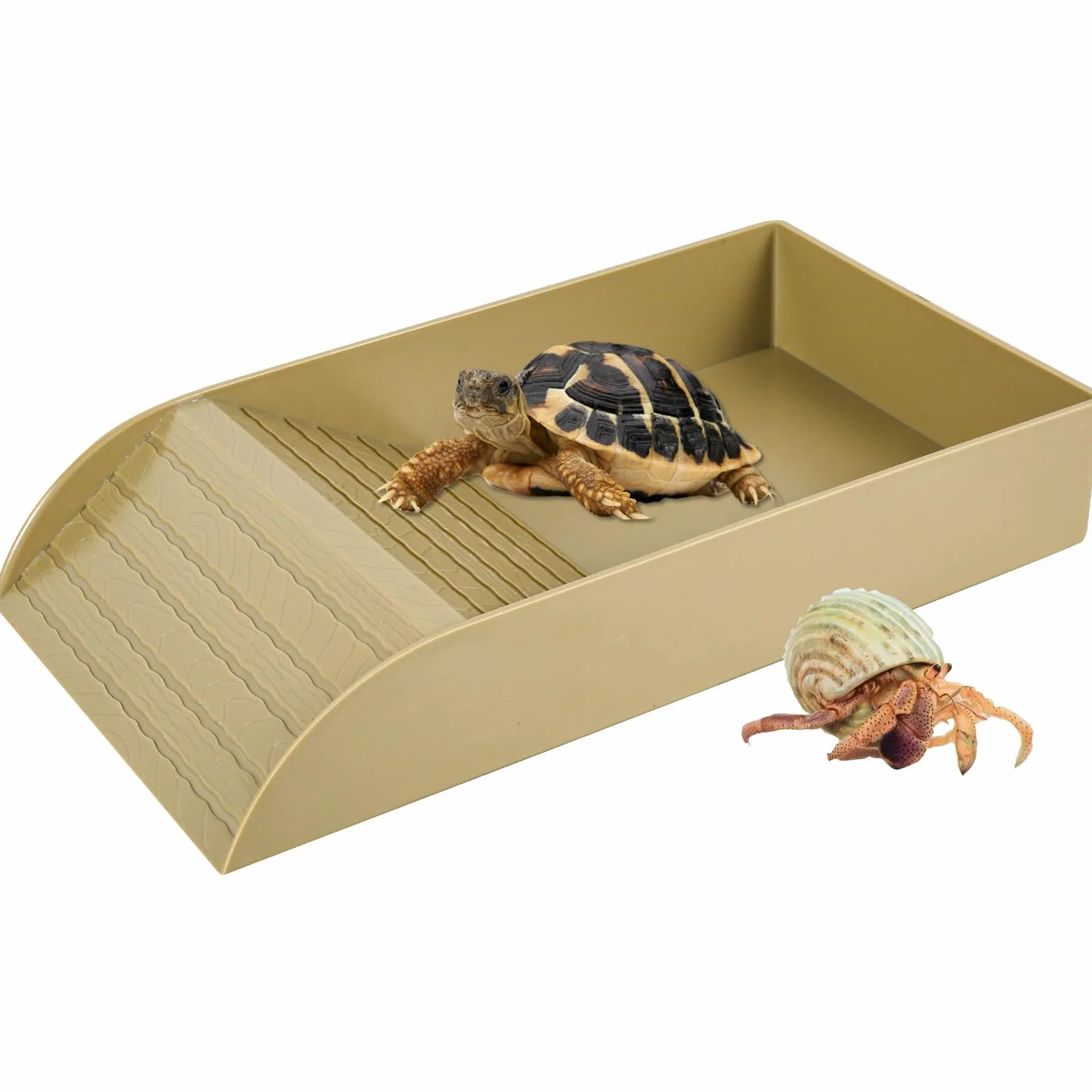 Eummy Gamelle à eau pour tortue - Bol de bain antidérapant avec rampe - Plastique - Accessoires pour tortue
