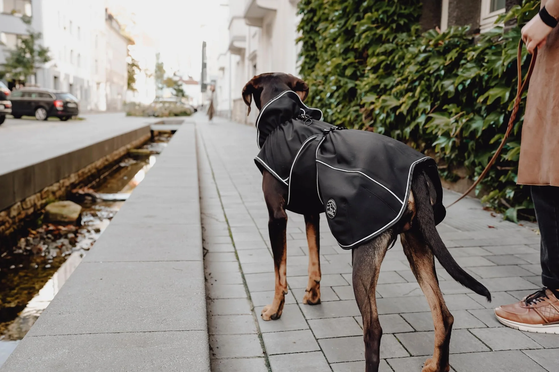 Hunter Uppsala Manteau Softshell pour Chien Noir 50 cm