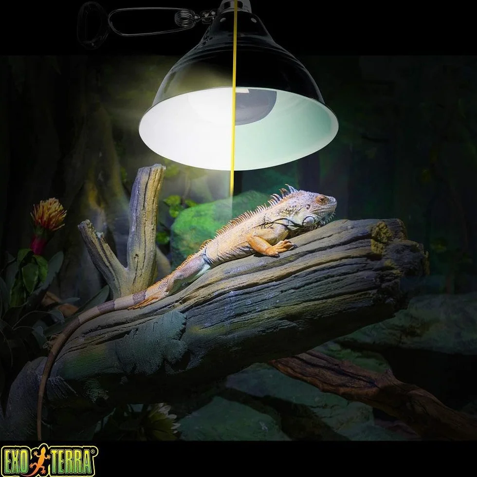 Exo Terra Intense Basking Spot lampe spot chauffante