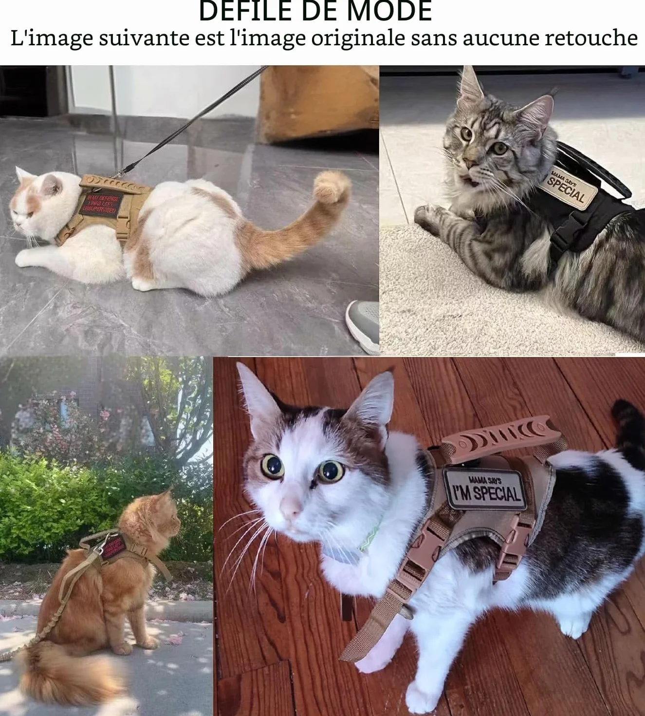 Harnais Tactique pour Chat réglable avec emblèmes brodés, Respirant Anti-échapper Corde de Traction réfléchissante Kaki