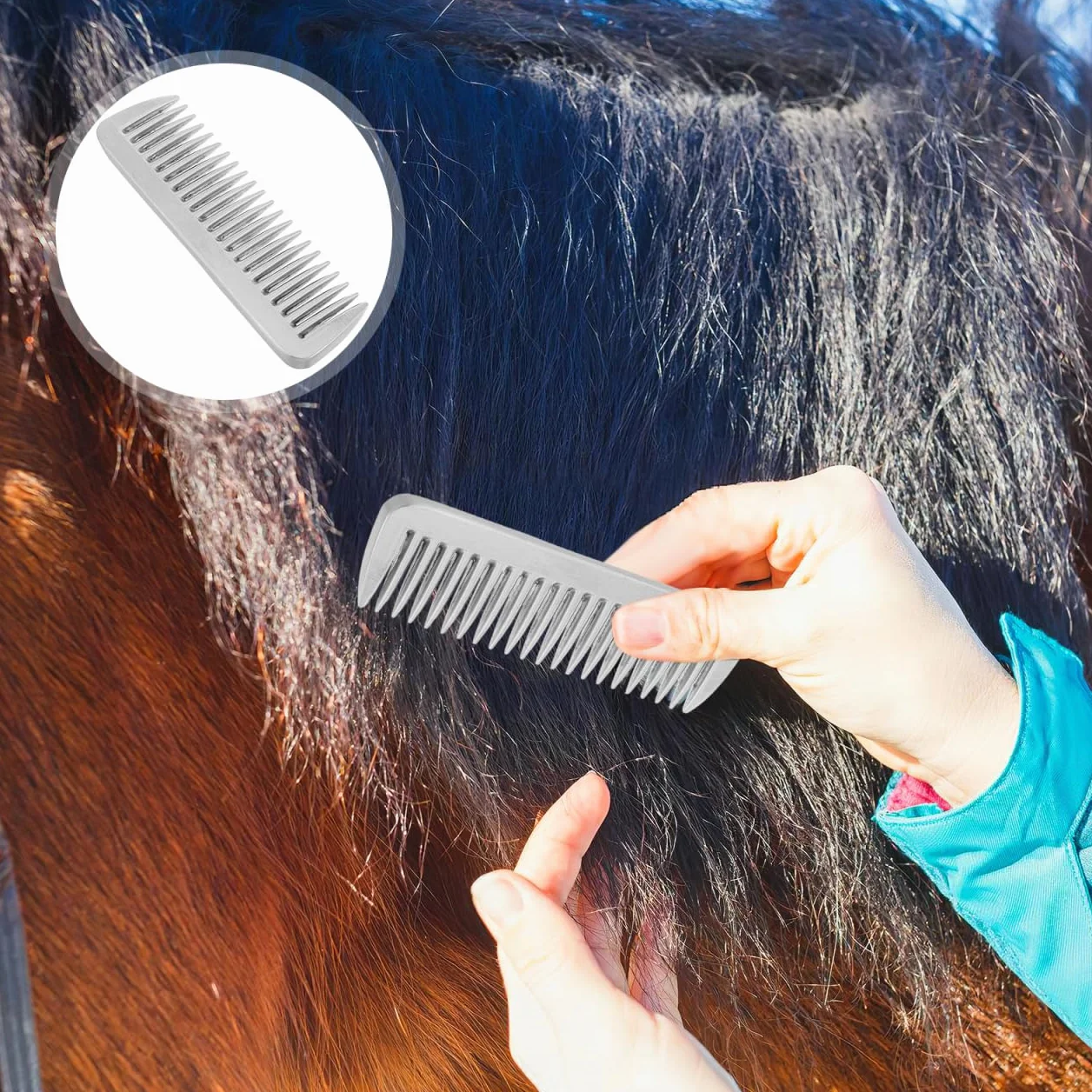 Toddmomy Peigne À Dents pour Cheval Brosse À Dents en Anneau Peigne en Métal pour Chiens