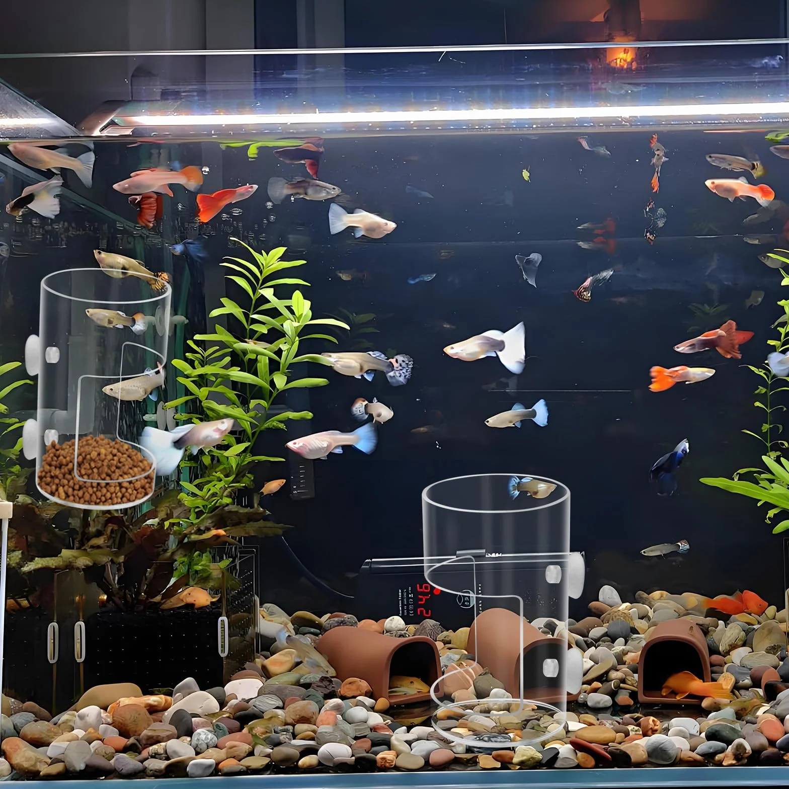 Lot de 2 mangeoires Rondes pour Poissons d'aquarium avec Ventouse, Tube d'alimentation, séparateur de réservoir, boîte d'élevage, Bols à Poissons, Accessoires pour Tortues et crevettes