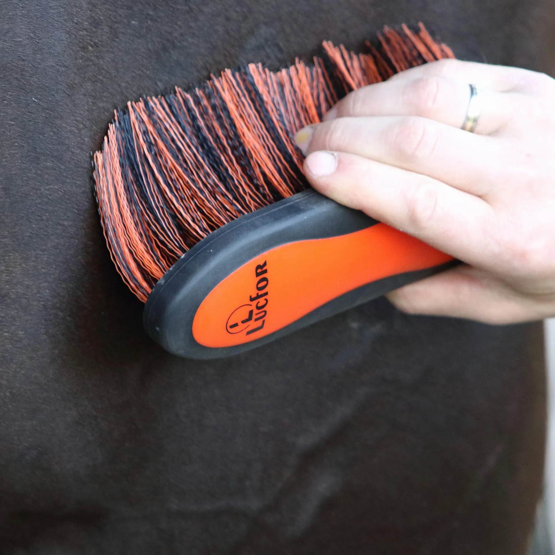 Brosse à racines douce pour chevaux à poils longs