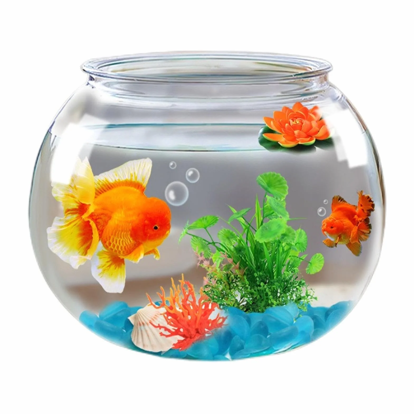 Petit aquarium décoratif transparent à bulles pour décoration de table