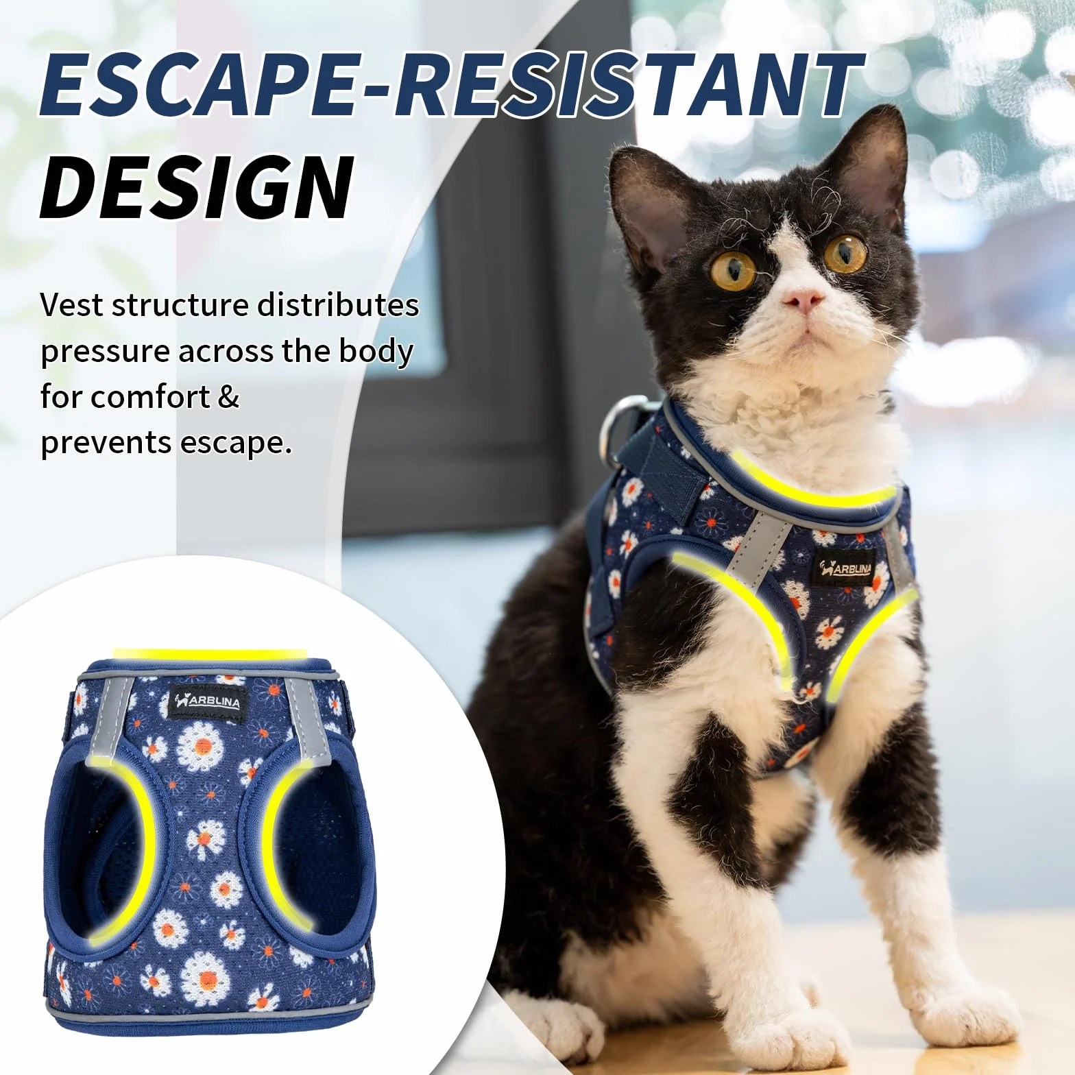Harnais pour Chat Arblina avec Laisse Souple et Respirant Réflecteurs, Bleu XS