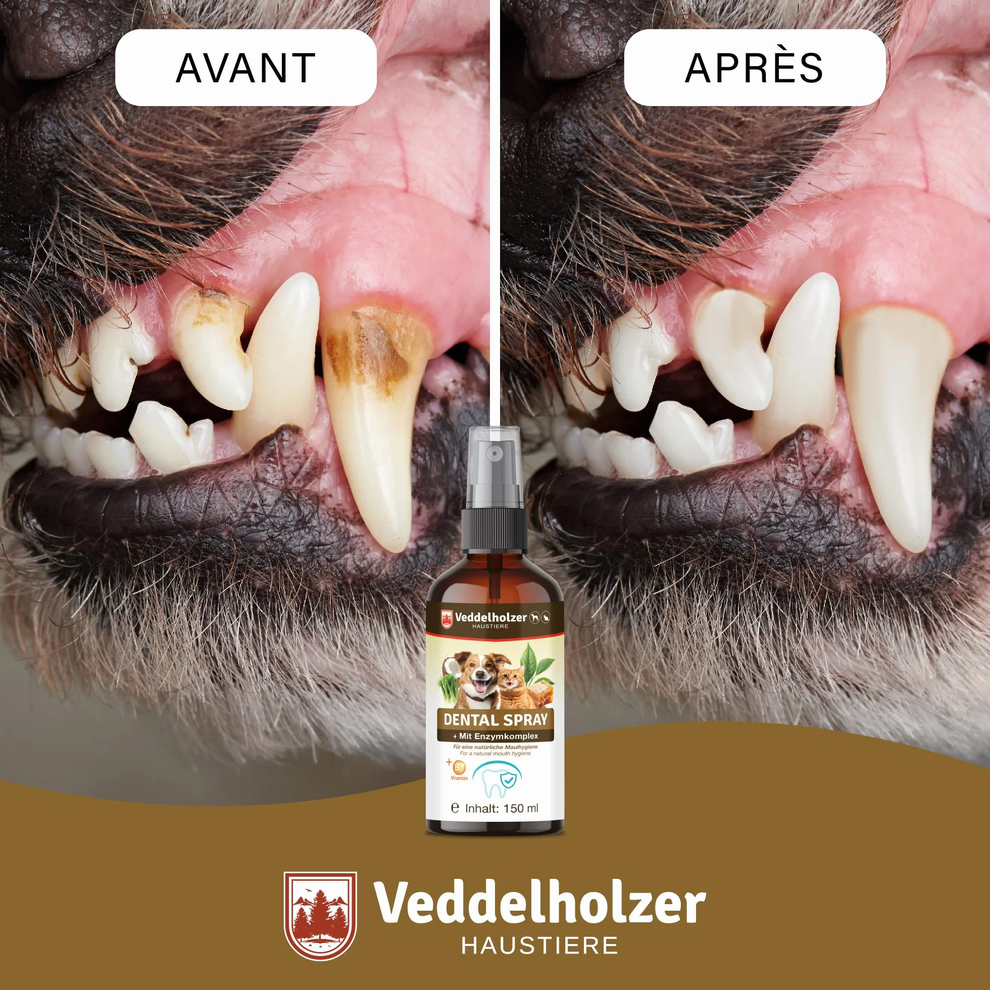 Veddelholzer Spray Dentaire probiotique pour Chiens et Chats 150 ML avec Brosse à Dents des Doigts et Complexe enzymatique