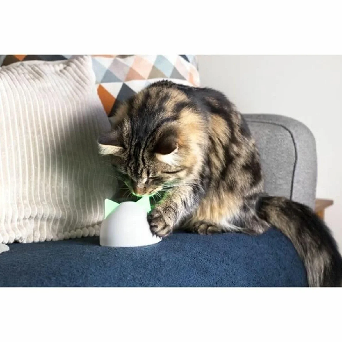 Sure PetCare Hub Compatible avec Chatières Connect SureFlap SureFeed Connect Felaqua Connect Application Mobile Blanc