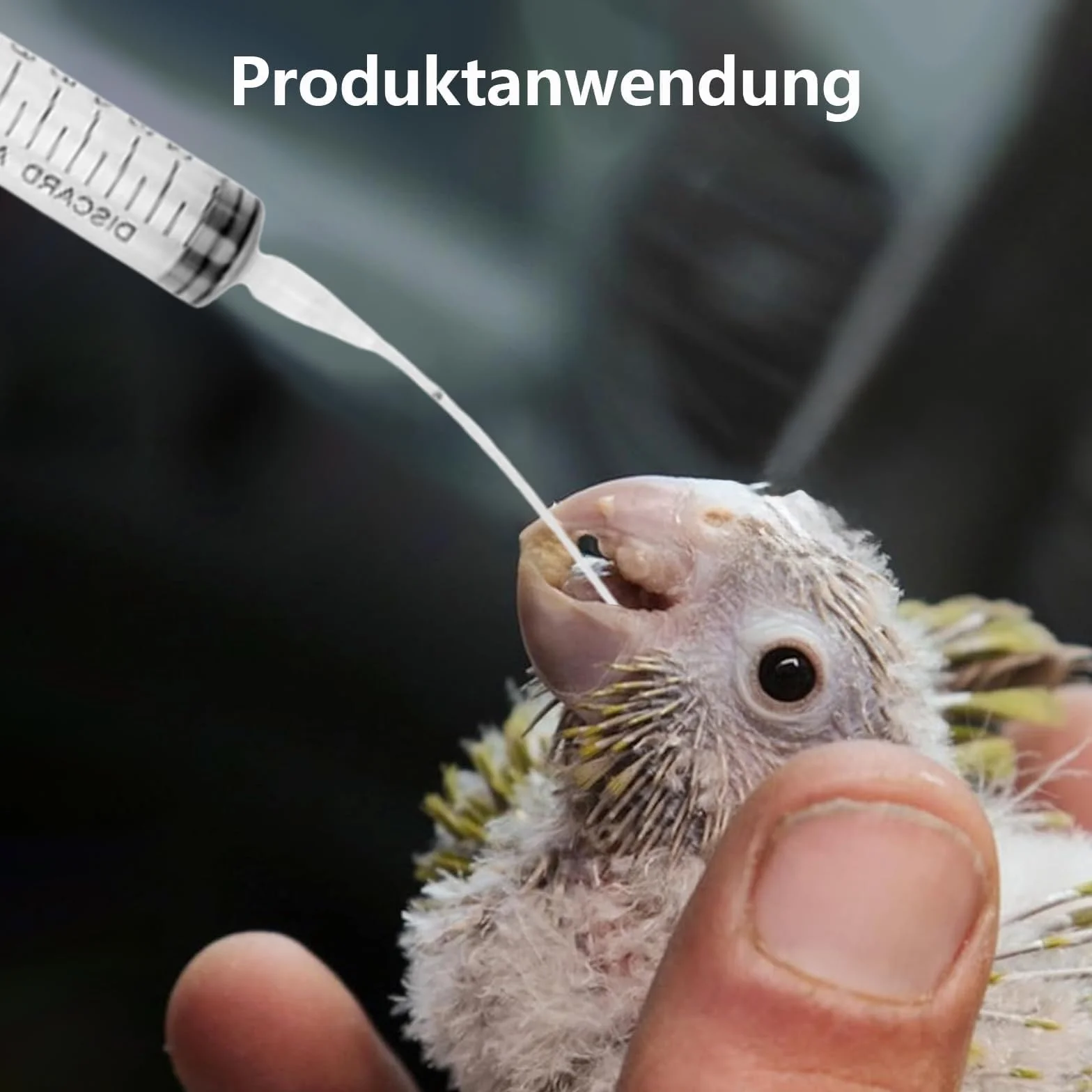 Seringues d'alimentation 20 ml pour oiseaux, pigeons, perroquets avec tuyau