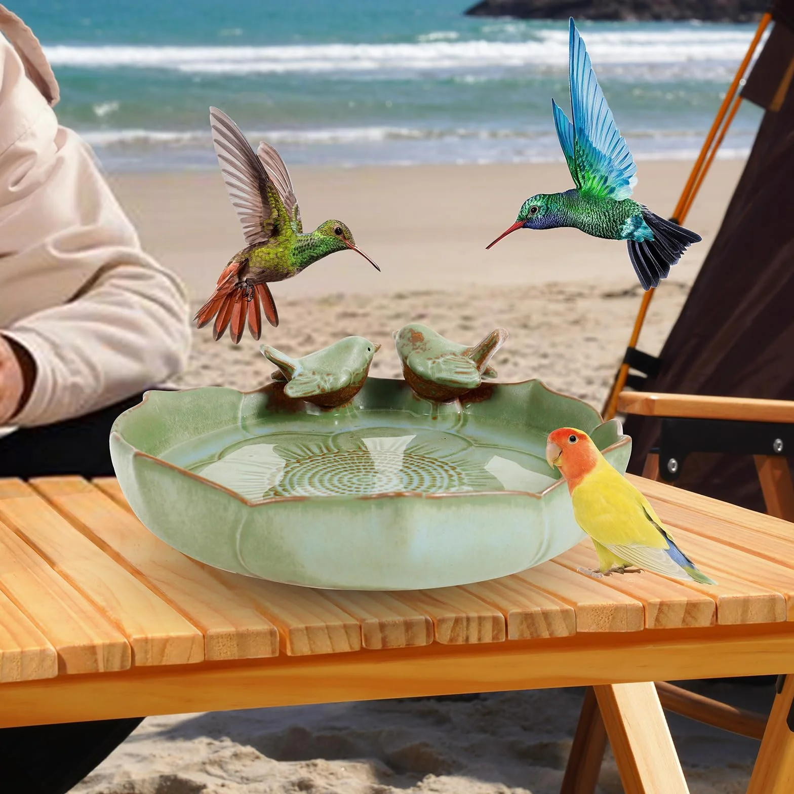 Bain pour Oiseaux en Céramique Émaillée 24 cm Résistant au Gel