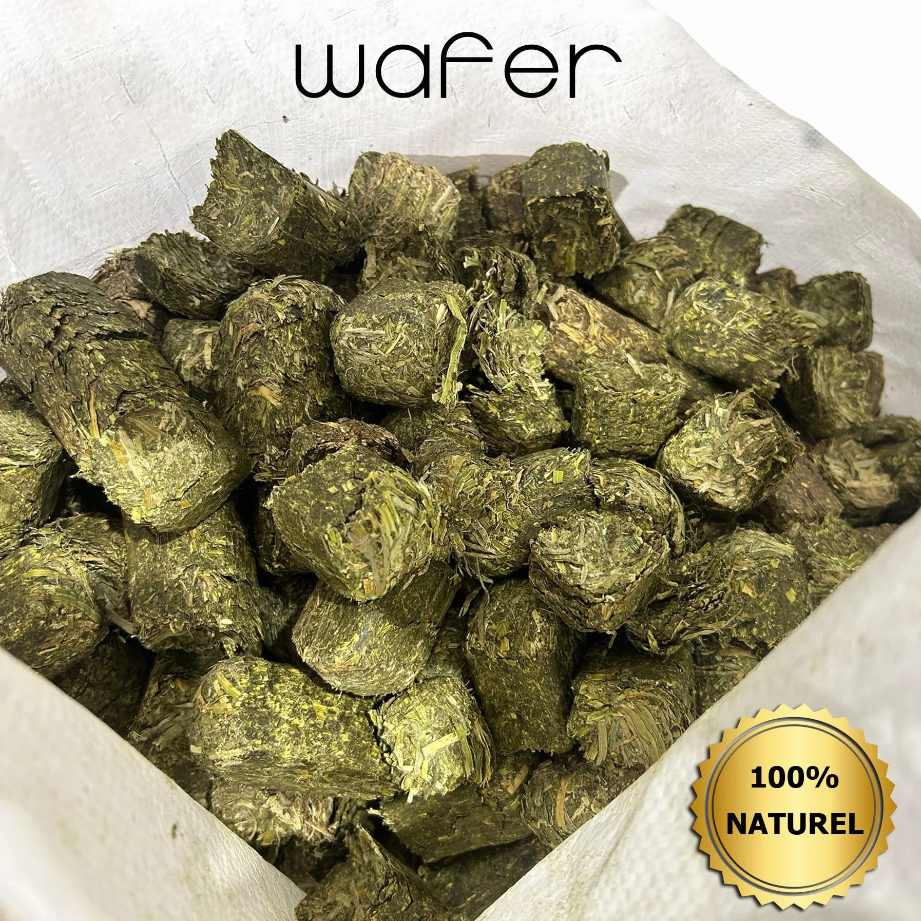 Cubes de Luzerne Wafer 20kg pour Cheval Alimentation Haut-de-Gamme