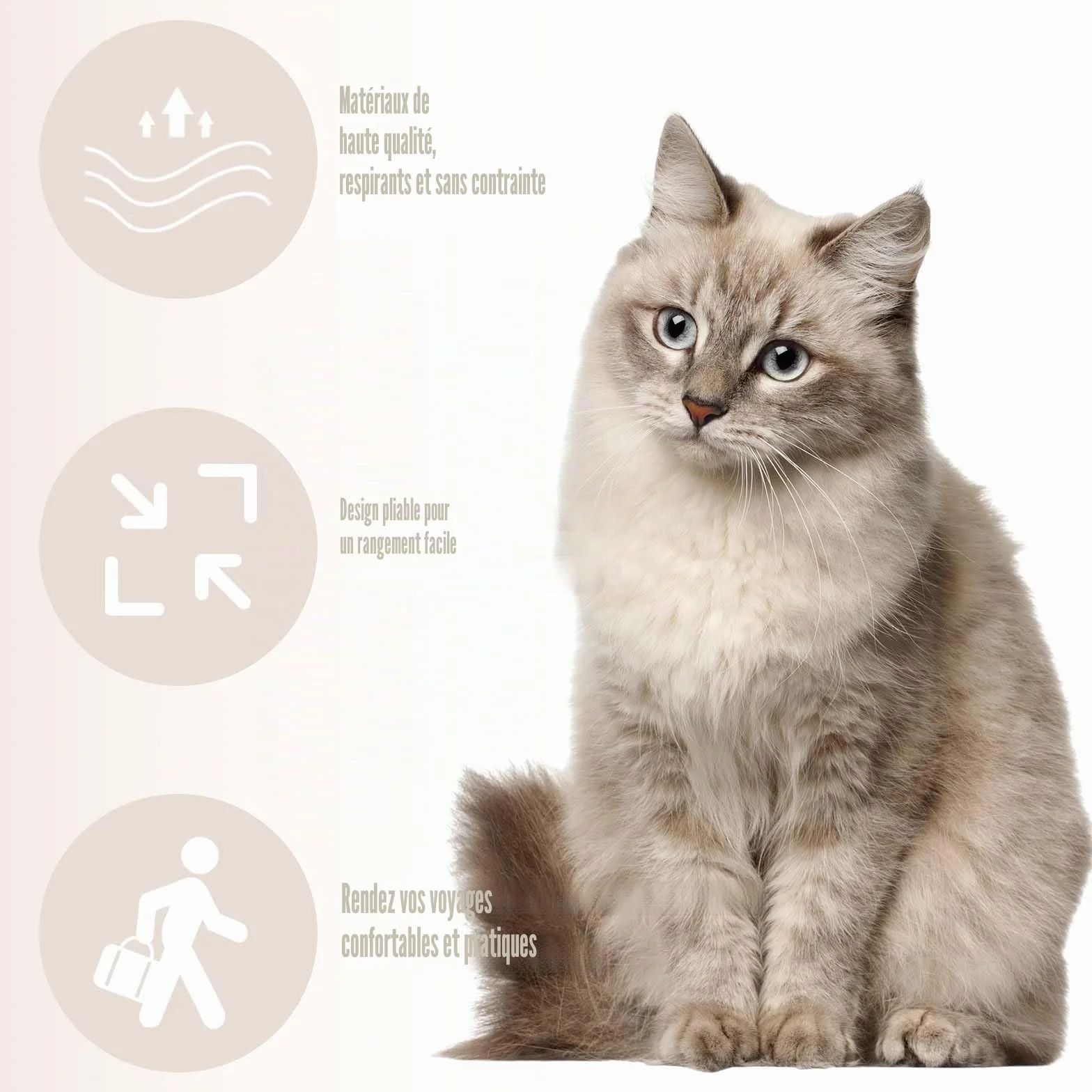 Sac Transport Chat 35×35×25cm Sac à Dos pour Animal Pliable Portable