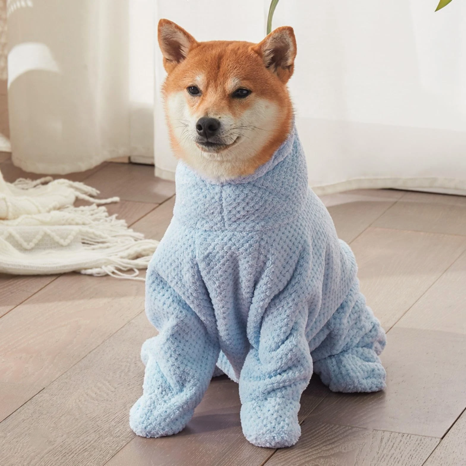 Peignoir de bain pour chien à séchage rapide, serviette absorbante, enroulé, accessoires de bain