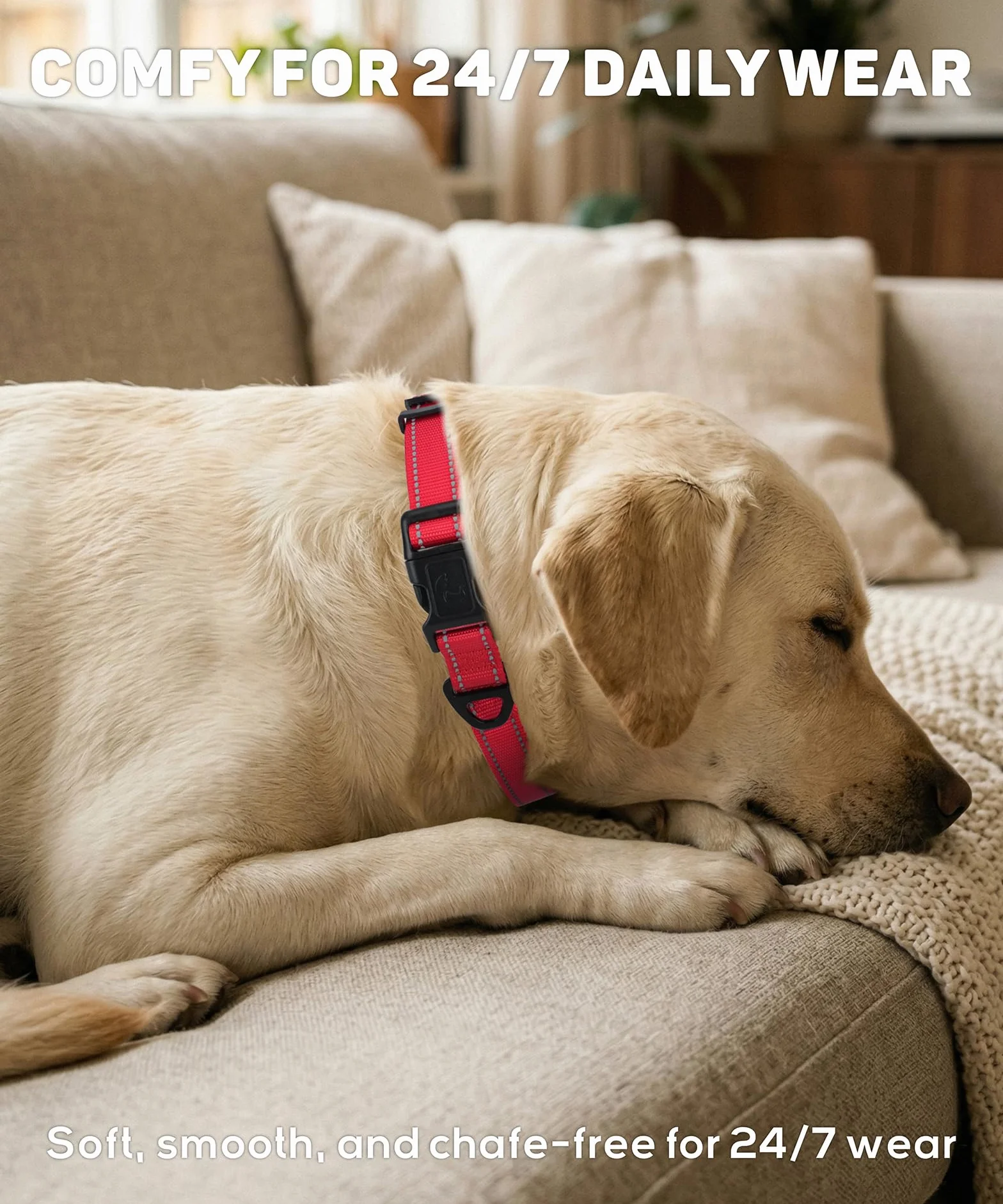 Collier pour Chien en Nylon Réfléchissant Réglable, Noir, 2.5cm