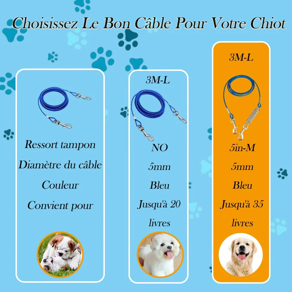Chaine pour Chien Résistante 80kg avec Amortisseur et Mousqueton Sécurisé 3m