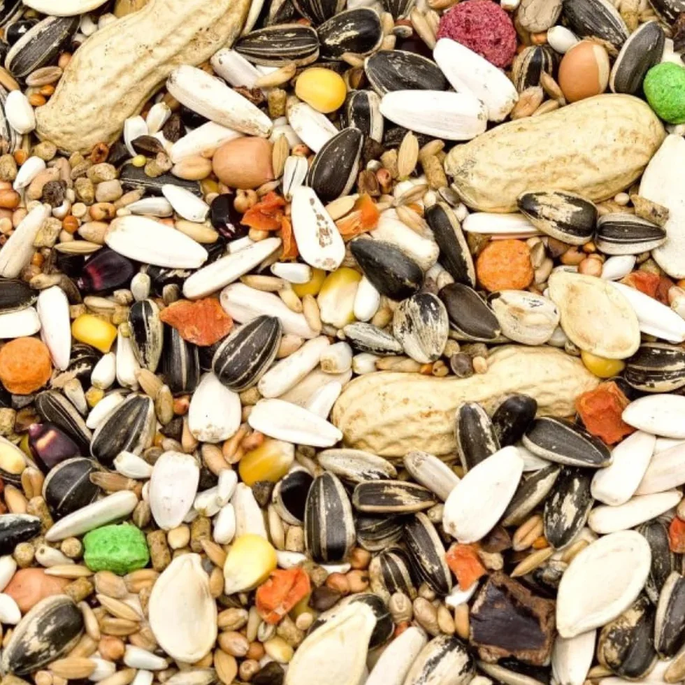 Nourriture pour perroquets de grande taille 10 kg mélange naturel sans additifs granulés vitamines tournesol noix chanvre citrouille