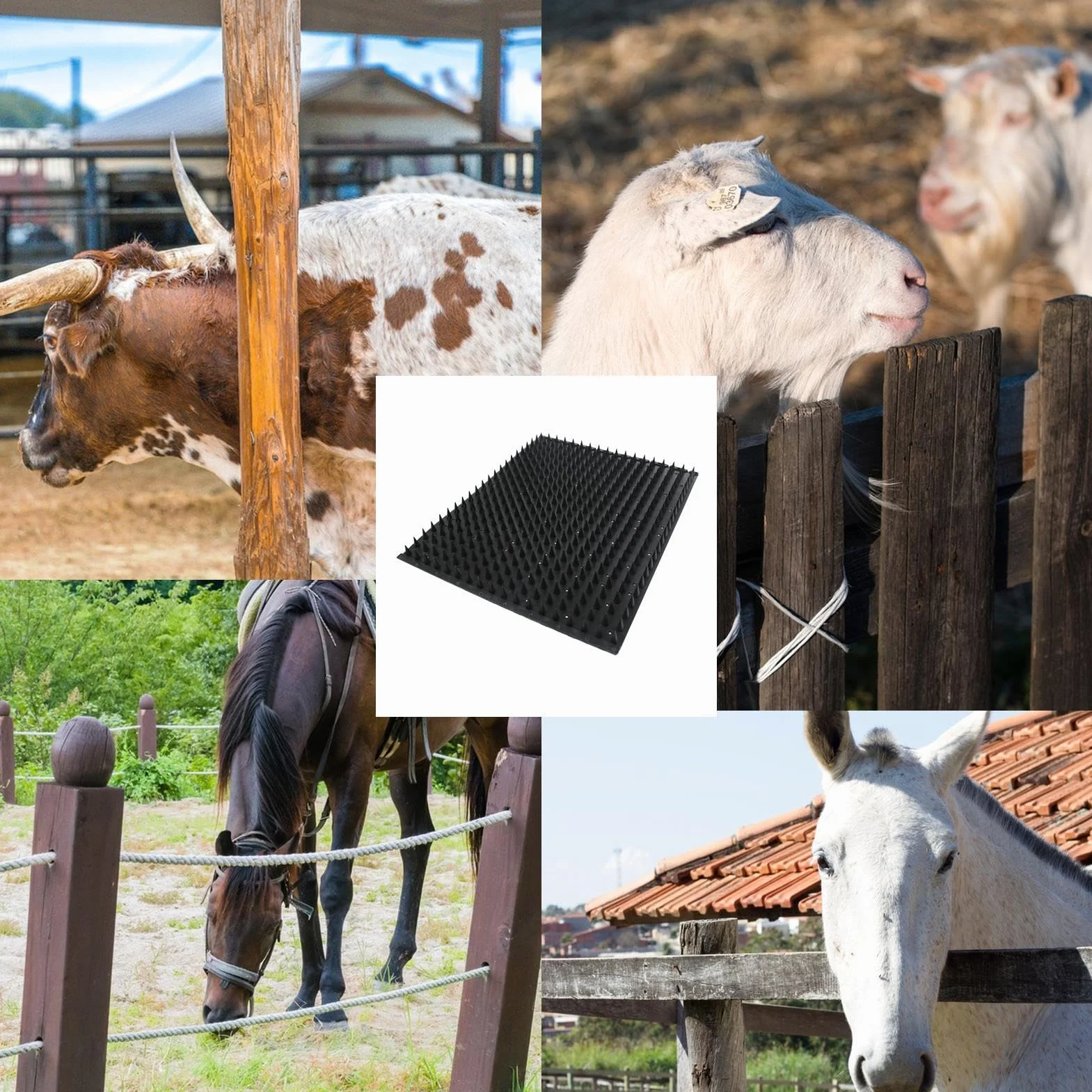Grattoir pour chevaux et bovins - Brosse de massage complète - Poteau à gratter pour vache, chèvre, bétail, mouton