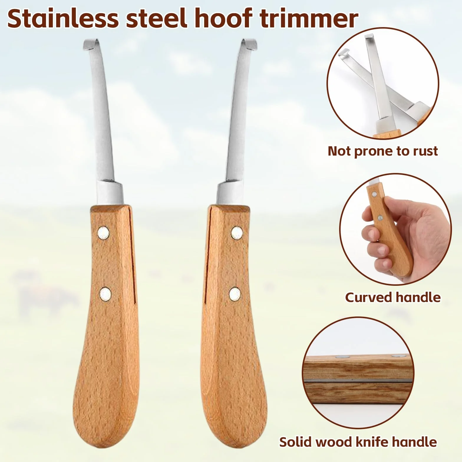 Couteau à Sabot 21.5 cm Acier Inoxydable Soins des Sabots Gaucher Droitier Outil Parage Manche en Bois Chevaux Bovins Ovins