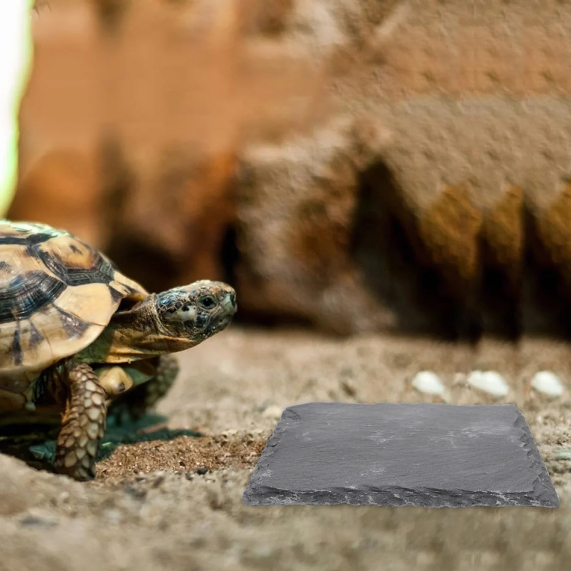 Lot de 2 Plateformes en Pierre pour Tortues, Ardoise Naturelle 10x10 cm, Accessoire Terrarium Reptile