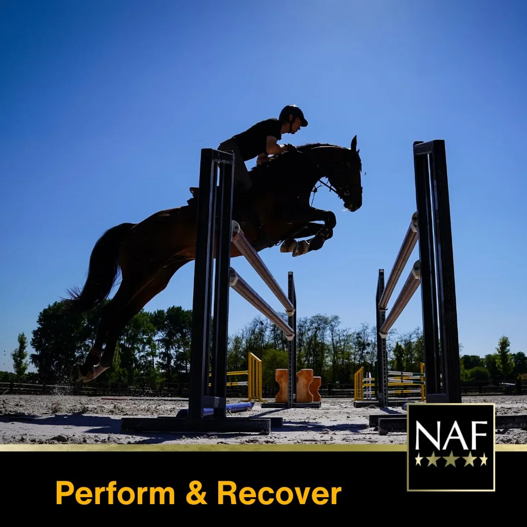 NAF Ice Cool Gel 2.5 L Natural Animal Feeds