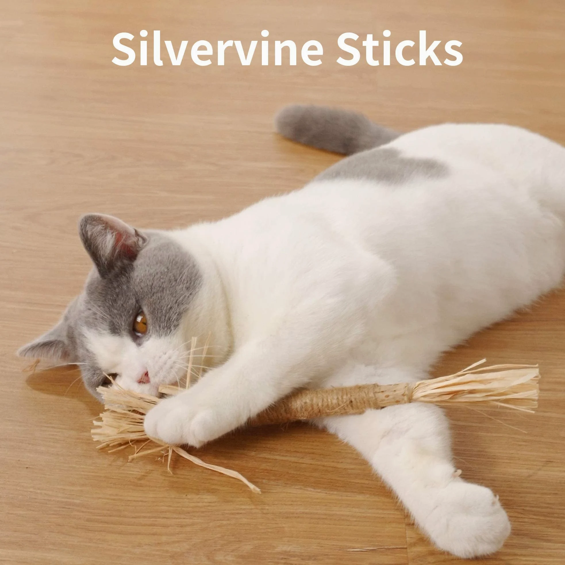 N/H Jouet en polygonum naturel pour chat à mâcher et à mâcher pour chat