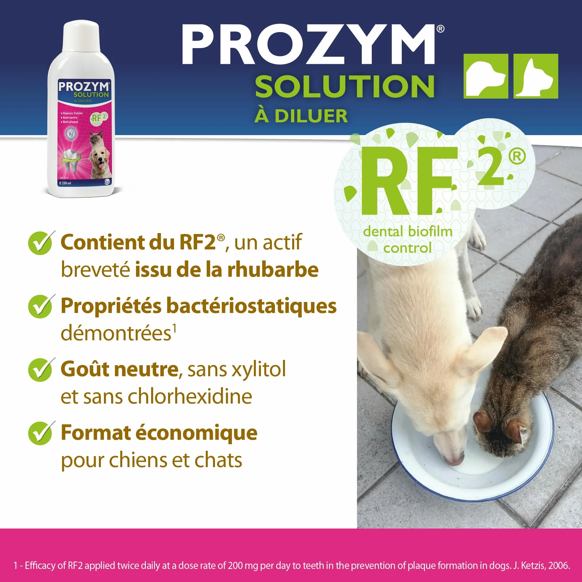 PROZYM Lot de 2 Solutions Dentaires pour Chiens et Chats Anti-tartre Anti-Plaque Haleine fraîche