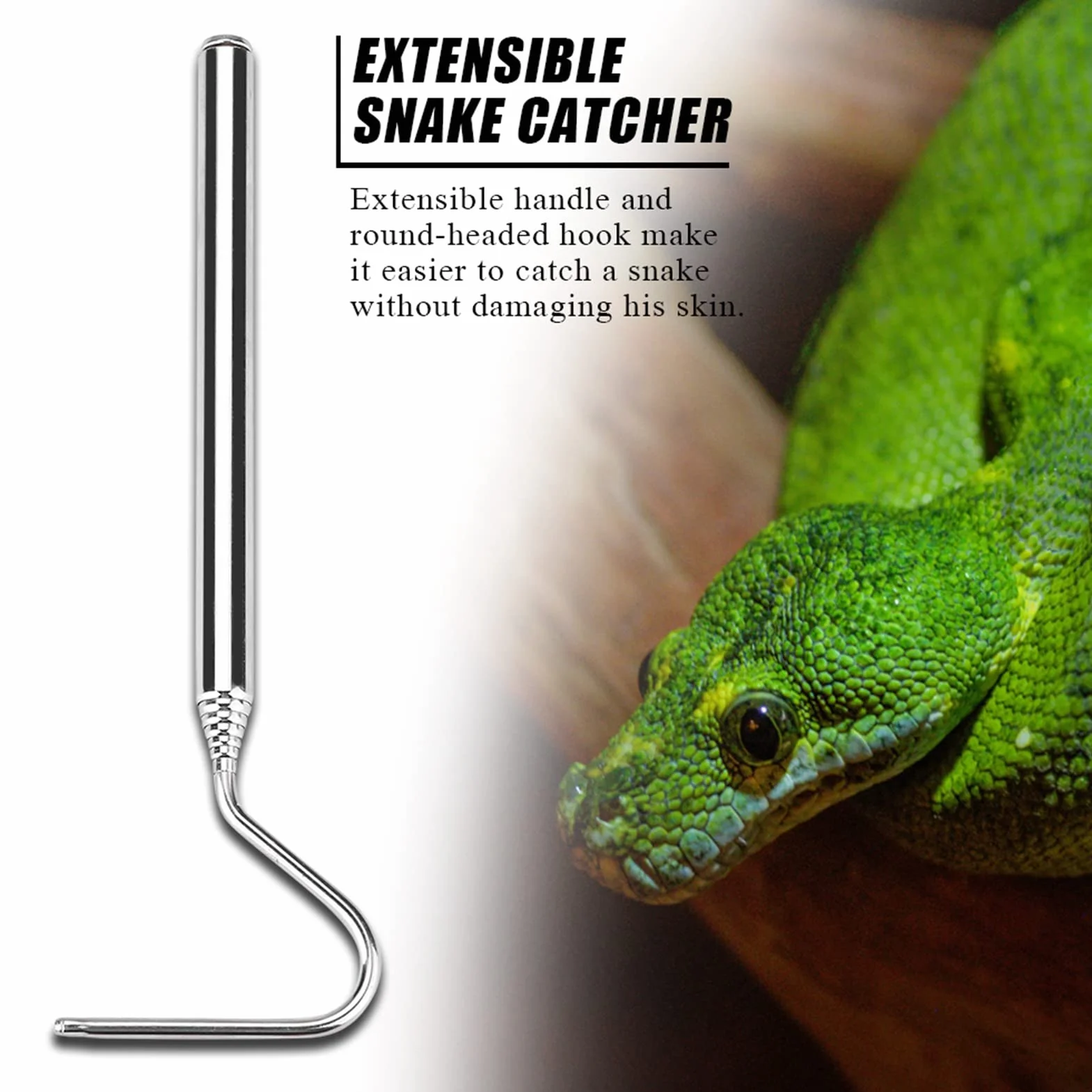 Crochet de Serpent réglable télescopique en Acier Inoxydable pour Reptiles