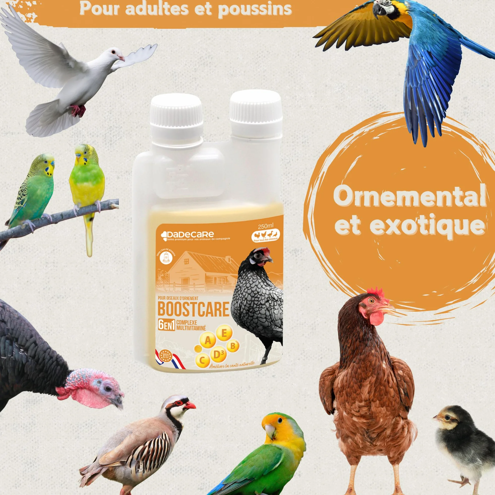 Boostcare Multivitamines 6 en 1 250 ML Oiseaux | Vitamines A-E-D-C-B | Nourriture complémentaire pour Poules, Poulets, Pigeons, Perroquets