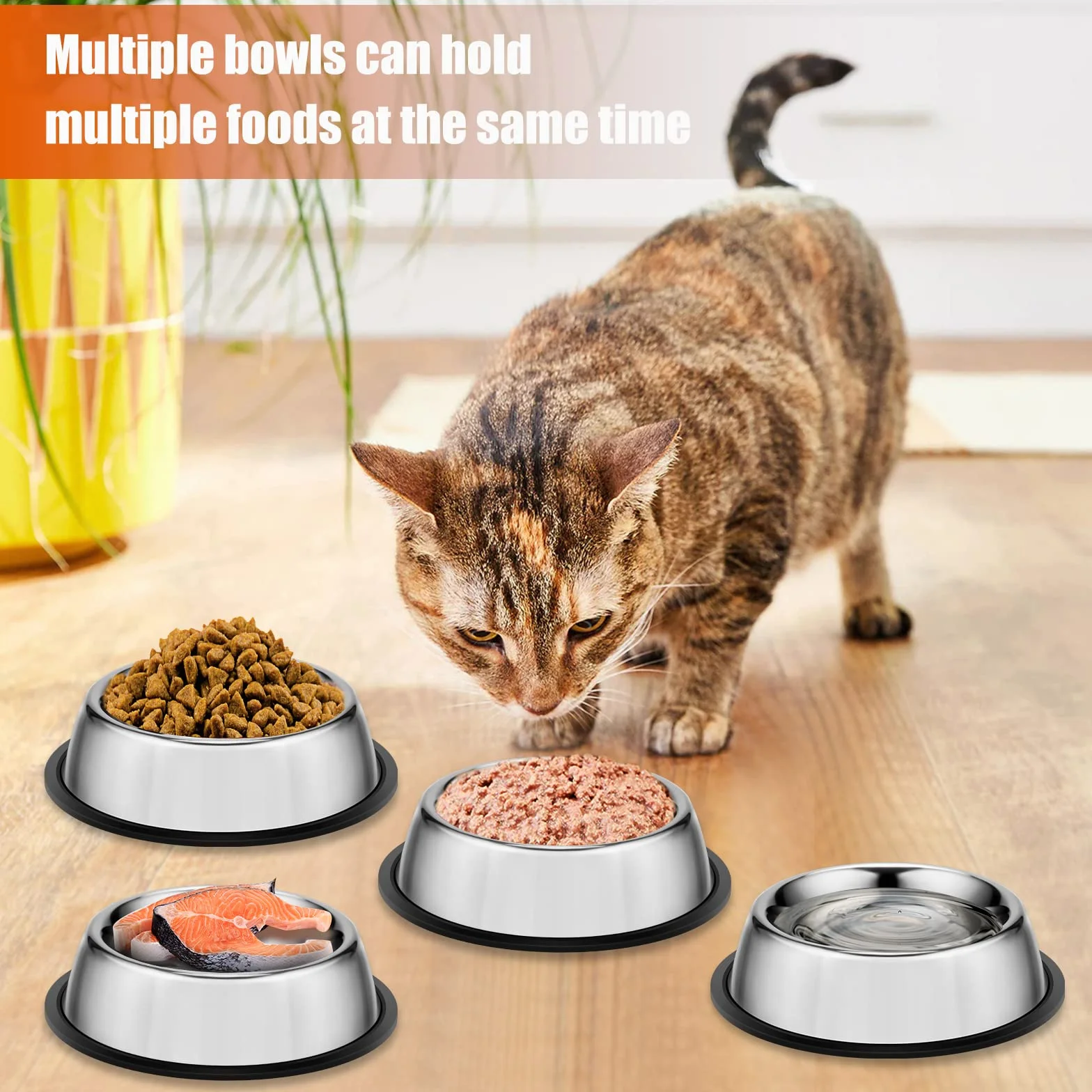 Gamelle pour Chat INOX 4 Pièces avec Jouet Bol Eau Chat