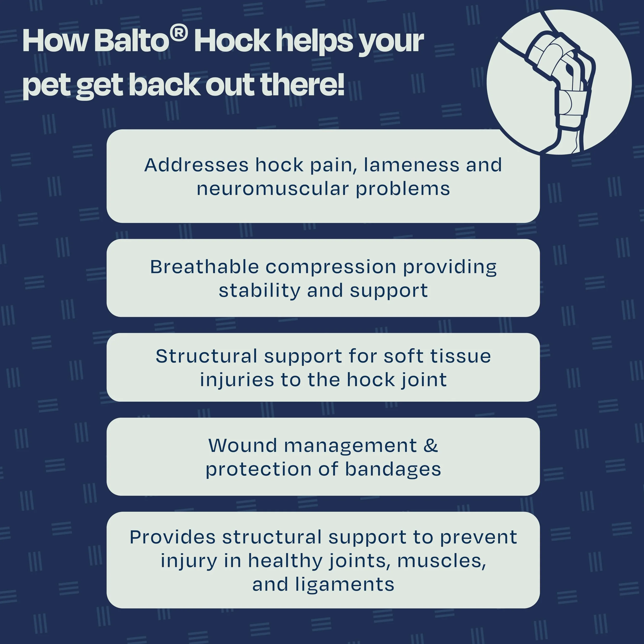 Balto Attelle de cheville pour chat – Attelle aluminium – Support post-chirurgie arthrite – Taille XS