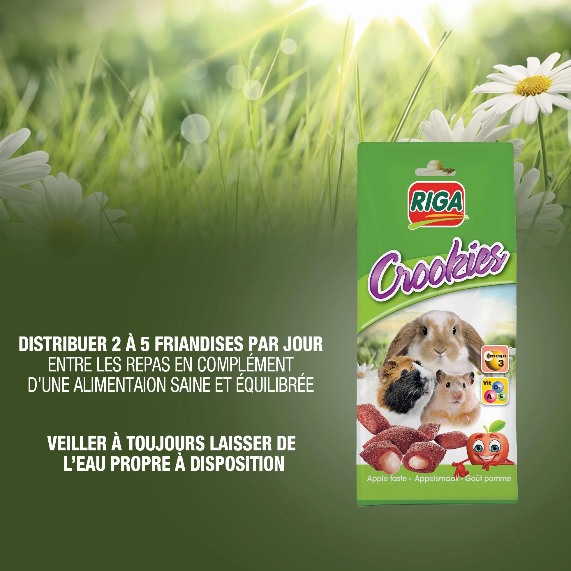 Crookies A La Pomme Aliment Complémentaire pour Rongeurs Biscuit Croquant 50G