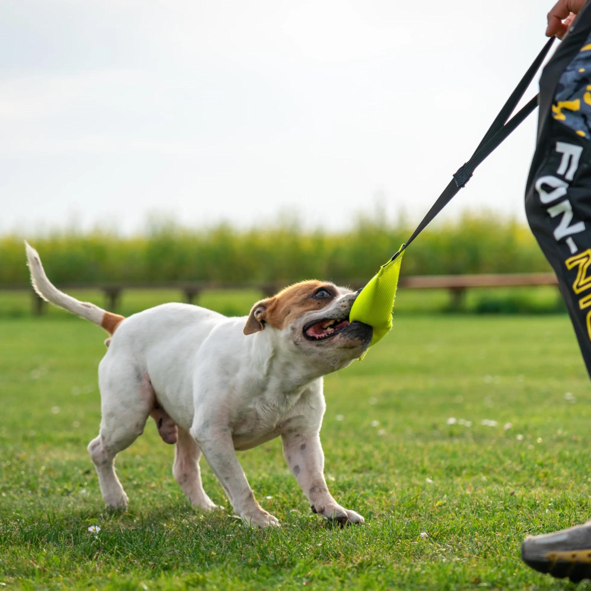 Bull Fit Bungee Boudin Jouet pour Chien 30 cm Anse Tuyaux Lance Incendie Robuste Mordant