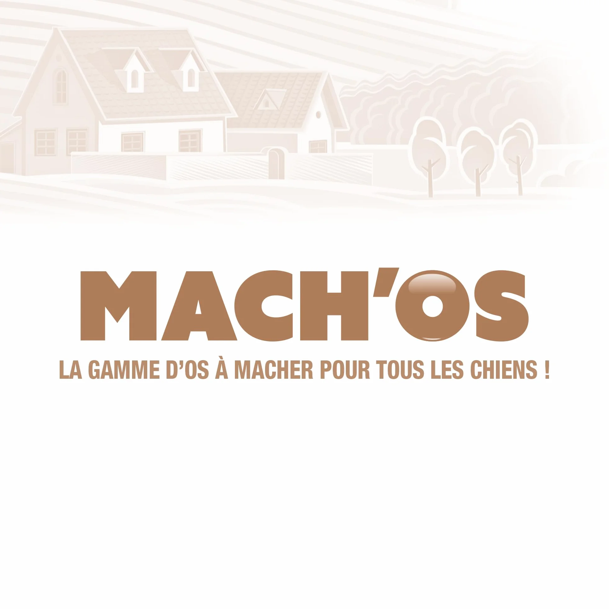 Riga - Mach'os - Barre Soufflée Blanche - Friandise pour Chien - Peau De Buffle - Riche en Protéines - Hygiène Buccale - Mastication Et Récompense - pour Moyen Chien - x 5