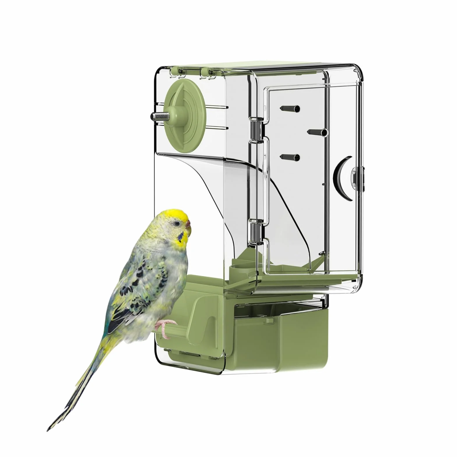 Mangeoire Automatique pour Oiseaux avec Perchoir Support Multifonctionnel pour Fruits et Légumes Vert