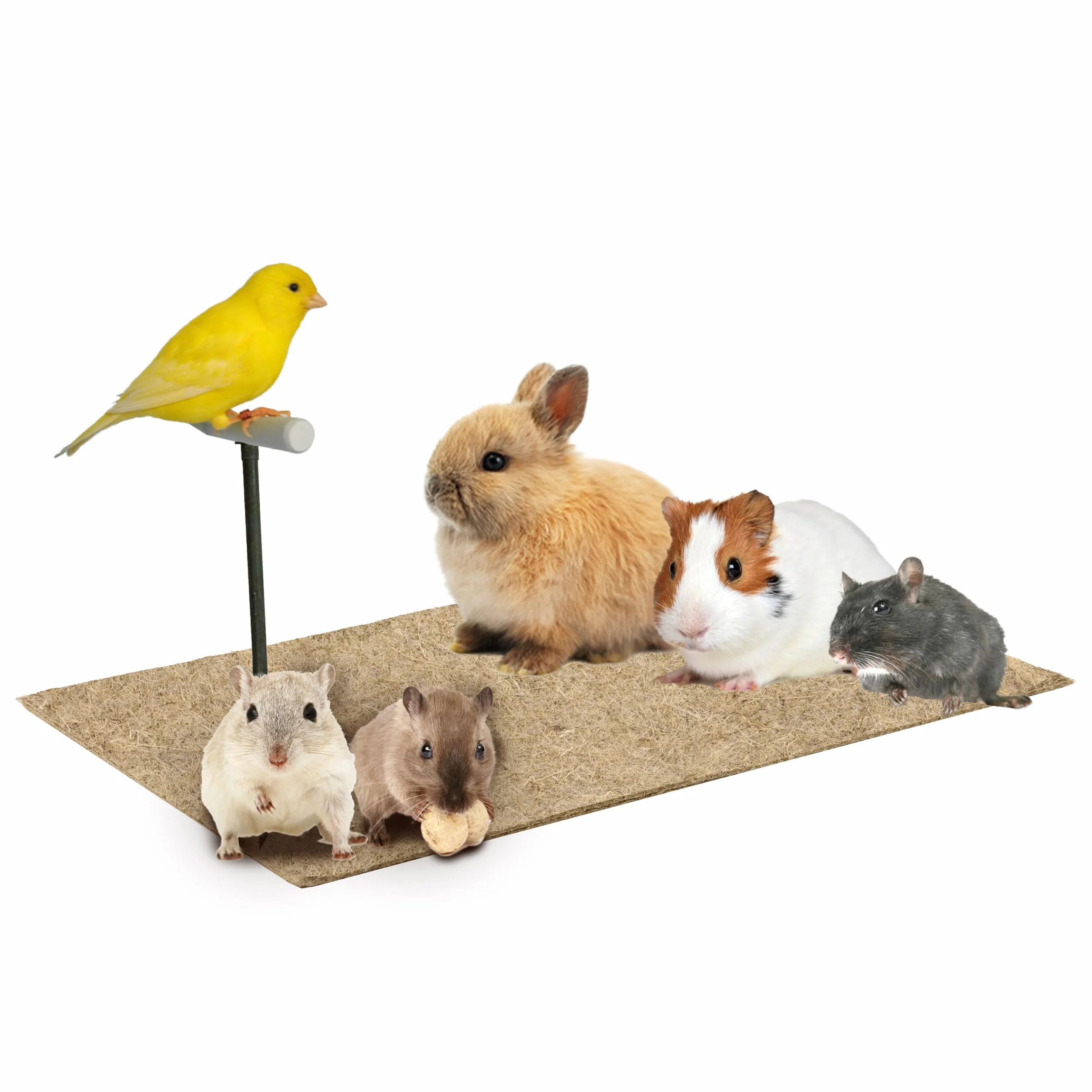 La Cordeline Tapis Litière Chanvre Naturel 25 x 40 cm 1000g/m² Fond de Cage Rongeurs