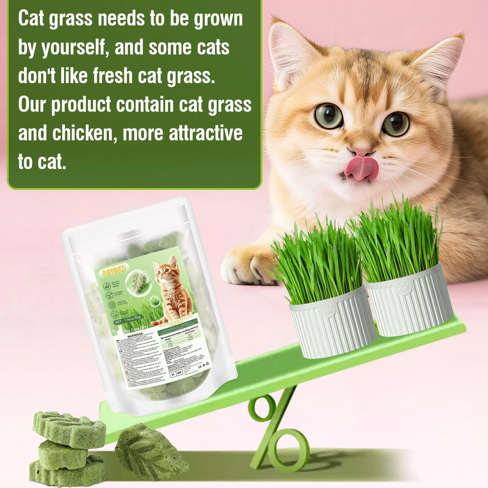 Bâton de Dentition d'herbe de Chat, Collations Comestibles pour Chats, Friandises Lyophilisées Nettoyeur de Dents 50g
