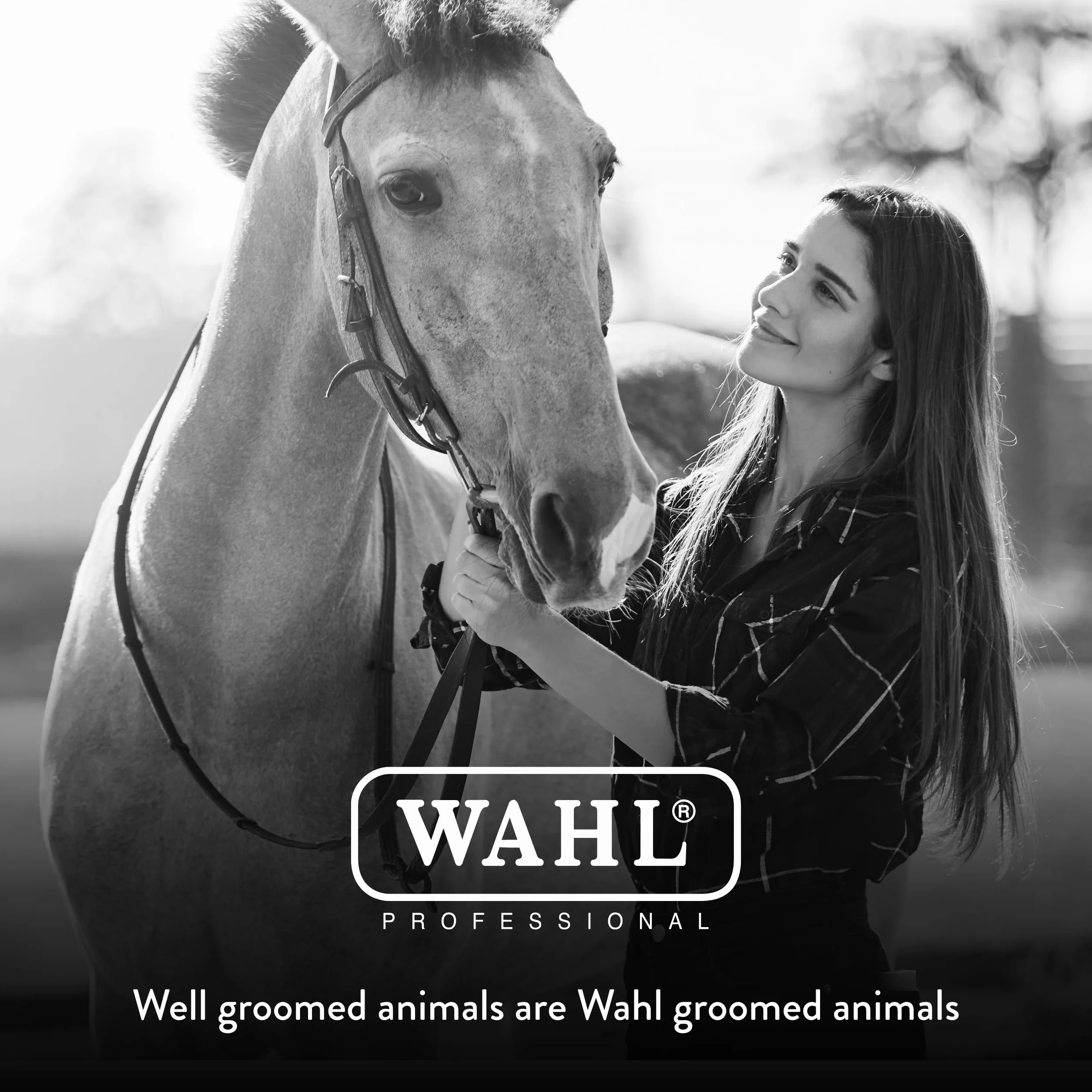 WAHL Grattoir Professionnel pour Chevaux - Noir