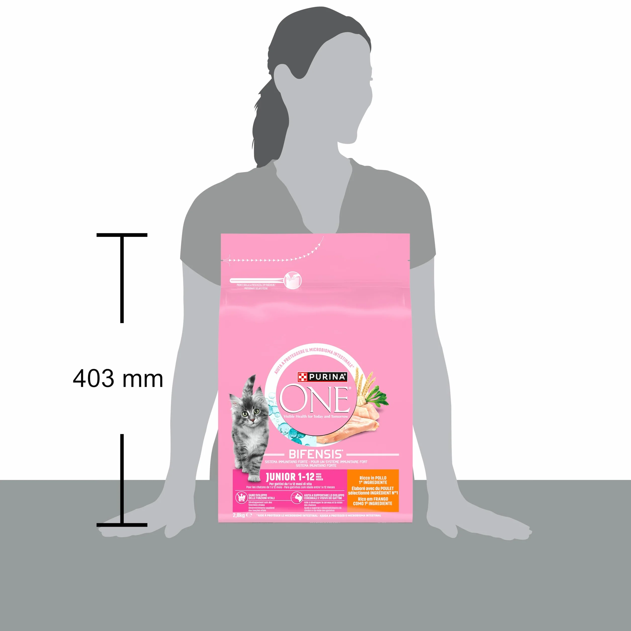 PURINA ONE BIFENSIS Junior Croquettes Aliment Complet pour Chatons 1-12 Mois Poulet 2.8kg