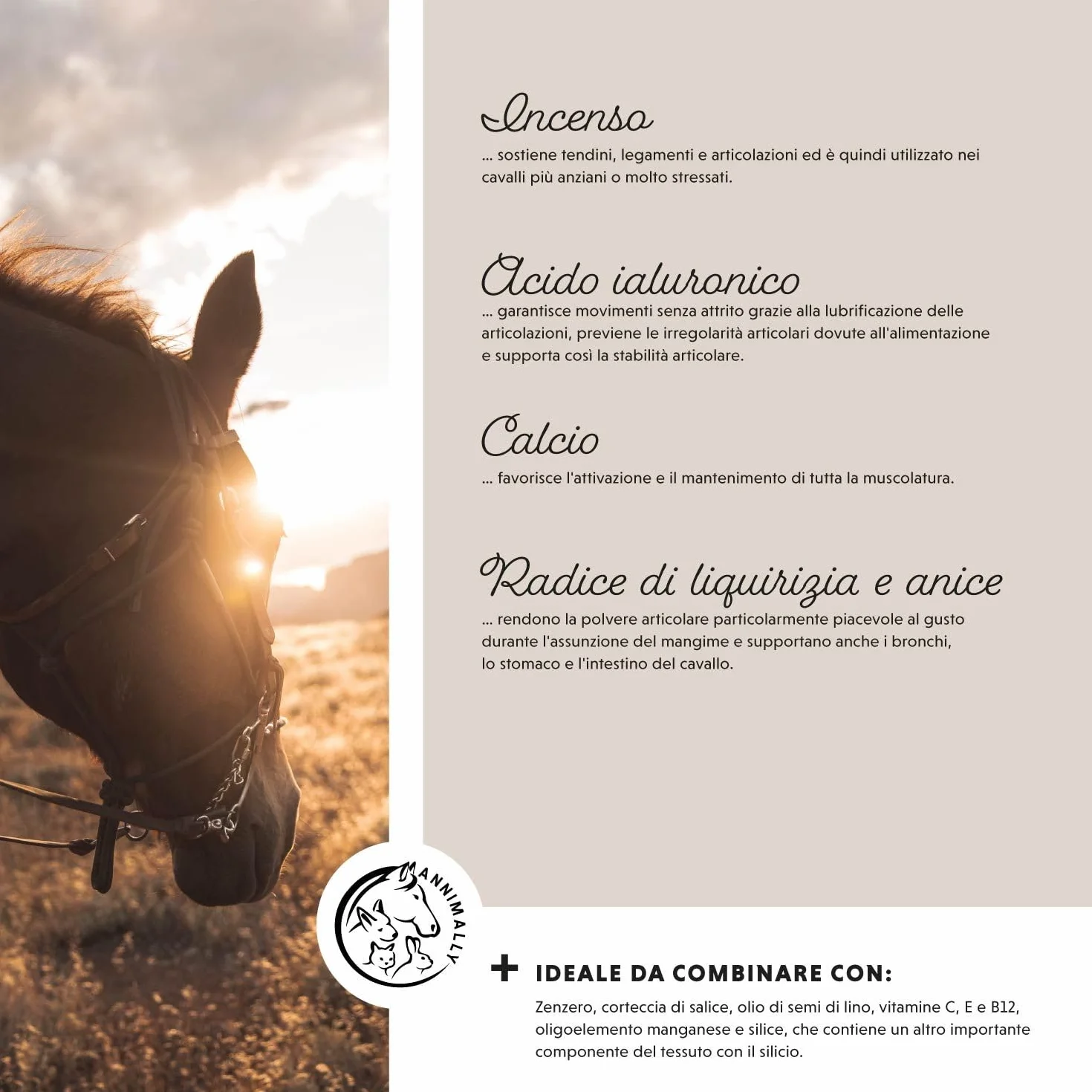 Annimally Complement Chevaux articulations 850g - Griffe du Diable, MSM, glucosamine, acide hyaluronique, chondroïtine