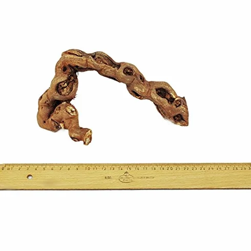 Exotenherz Bois de vigne 18-20 cm