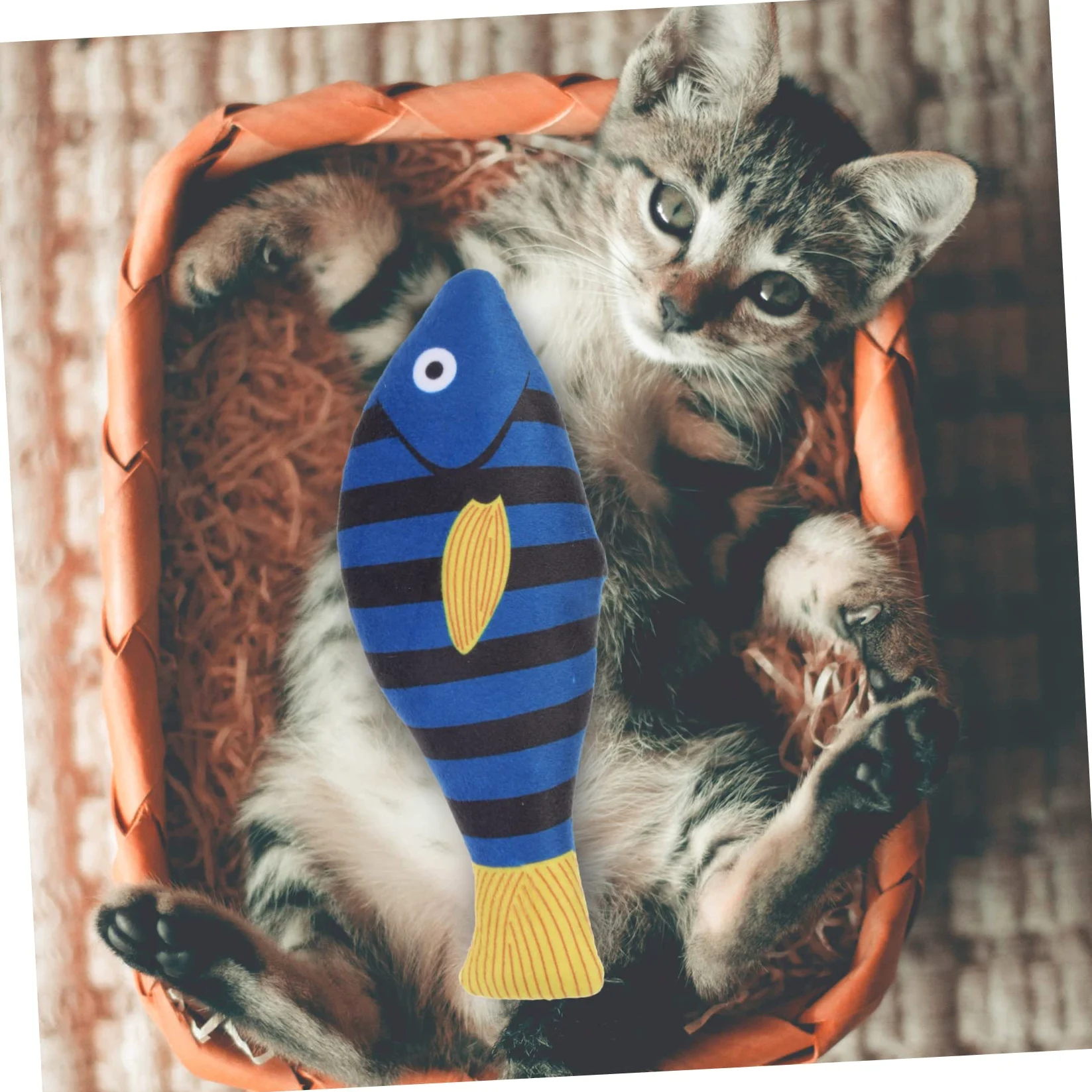 ifundom Jouet en Peluche de Poisson pour Chats D'intérieur Herbe à Chat Naturelle, Jouet à Mâcher pour Chatons pour Stimuler et Divertir