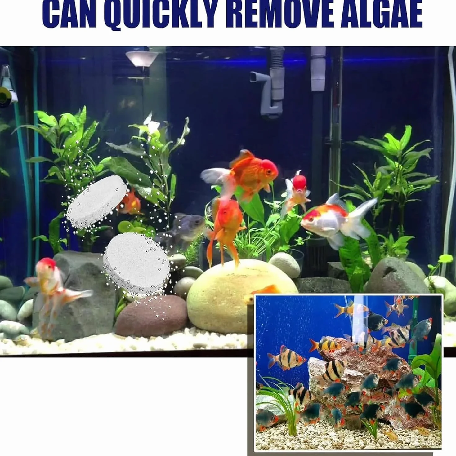 Comprimés Purification d'eau d'Aquarium 35 pièces Anti-Turbidité