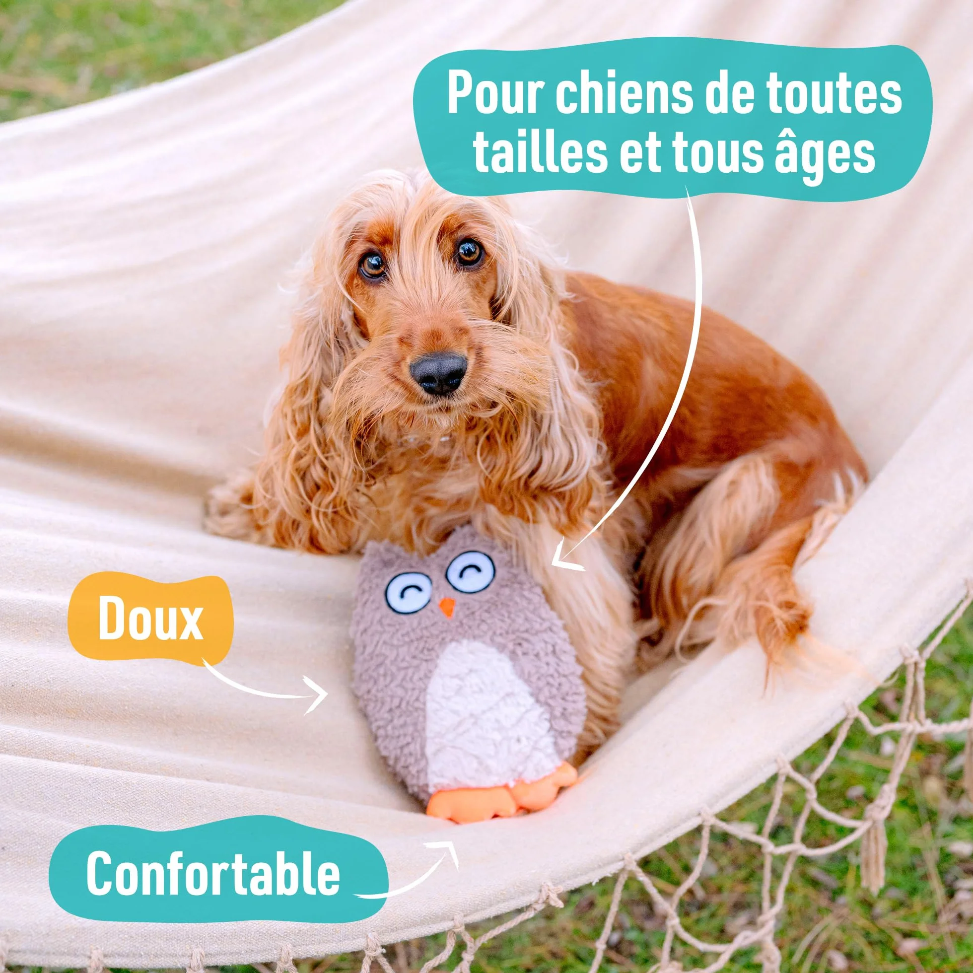 Jouet Hiboubou 25 cm Peluche pour Chien Facile à Ranger et à Transporter