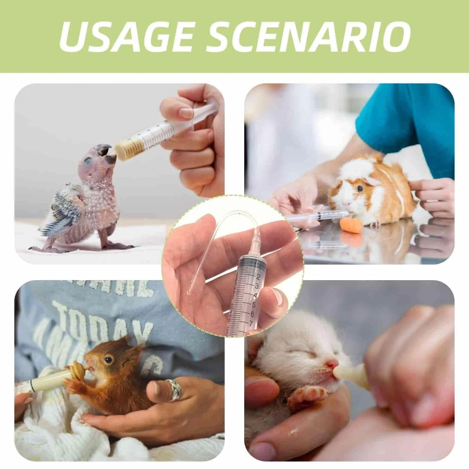 Seringues 10 ml pour pigeons oiseaux avec tuyau, accessoires alimentation élevage