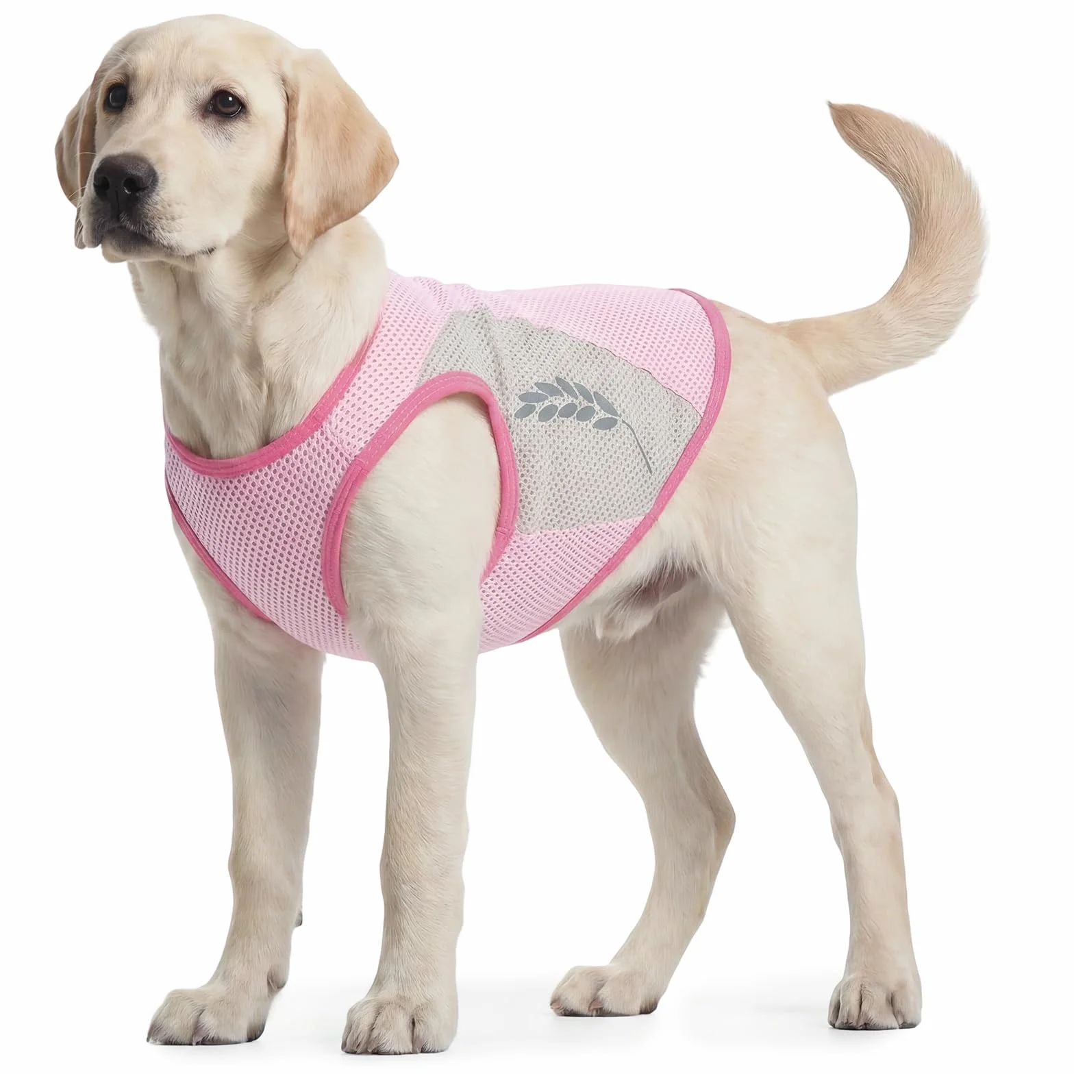T-Shirt Rafraîchissant Chien Manteau Fraicheur Chien Gilet Fraicheur Dog Cooling Jacket Rose 9XL