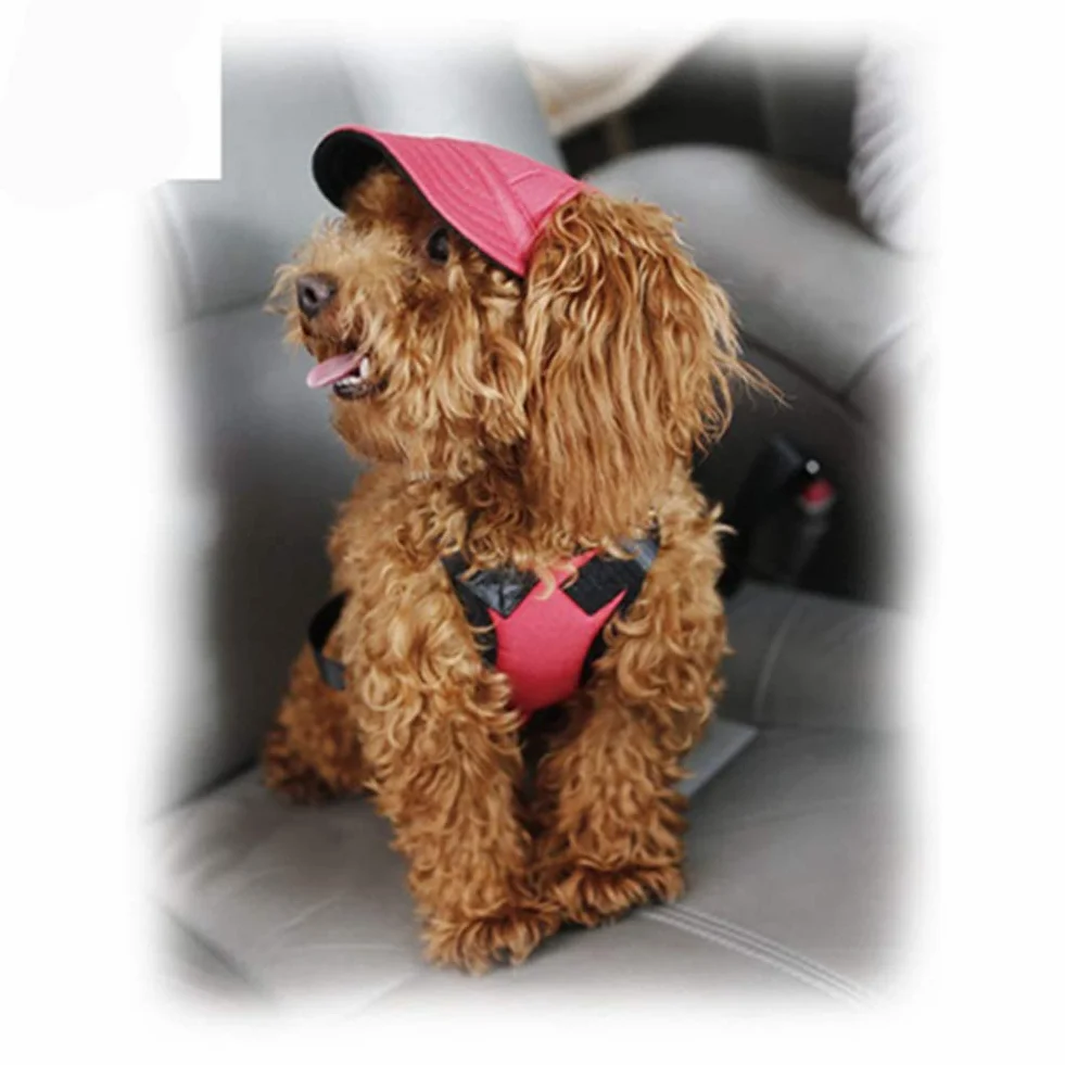 Bonnet de baseball réglable Sunbonnet - Protection solaire - Pour chiens de petite taille et moyenne et grande taille M bleu foncé